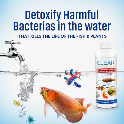 AquaClean™ Automatic Fish Tank Cleaner – (Buy 1 Get 1 Free🔥)